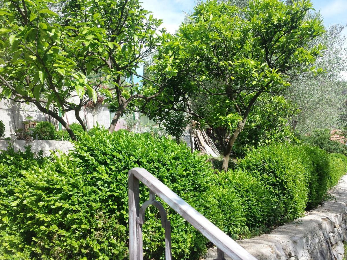 Hoxha Rooms Ulcinj Eksteriør bilde