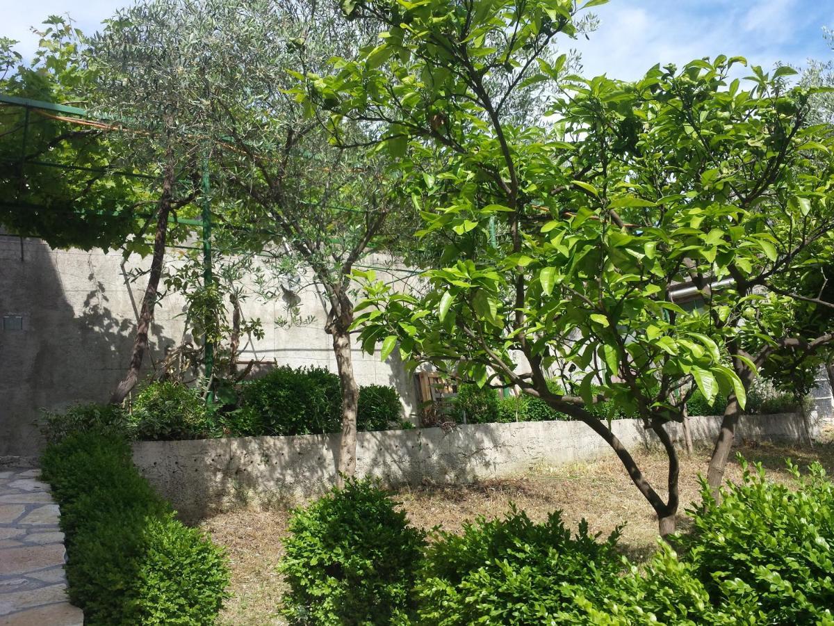 Hoxha Rooms Ulcinj Eksteriør bilde